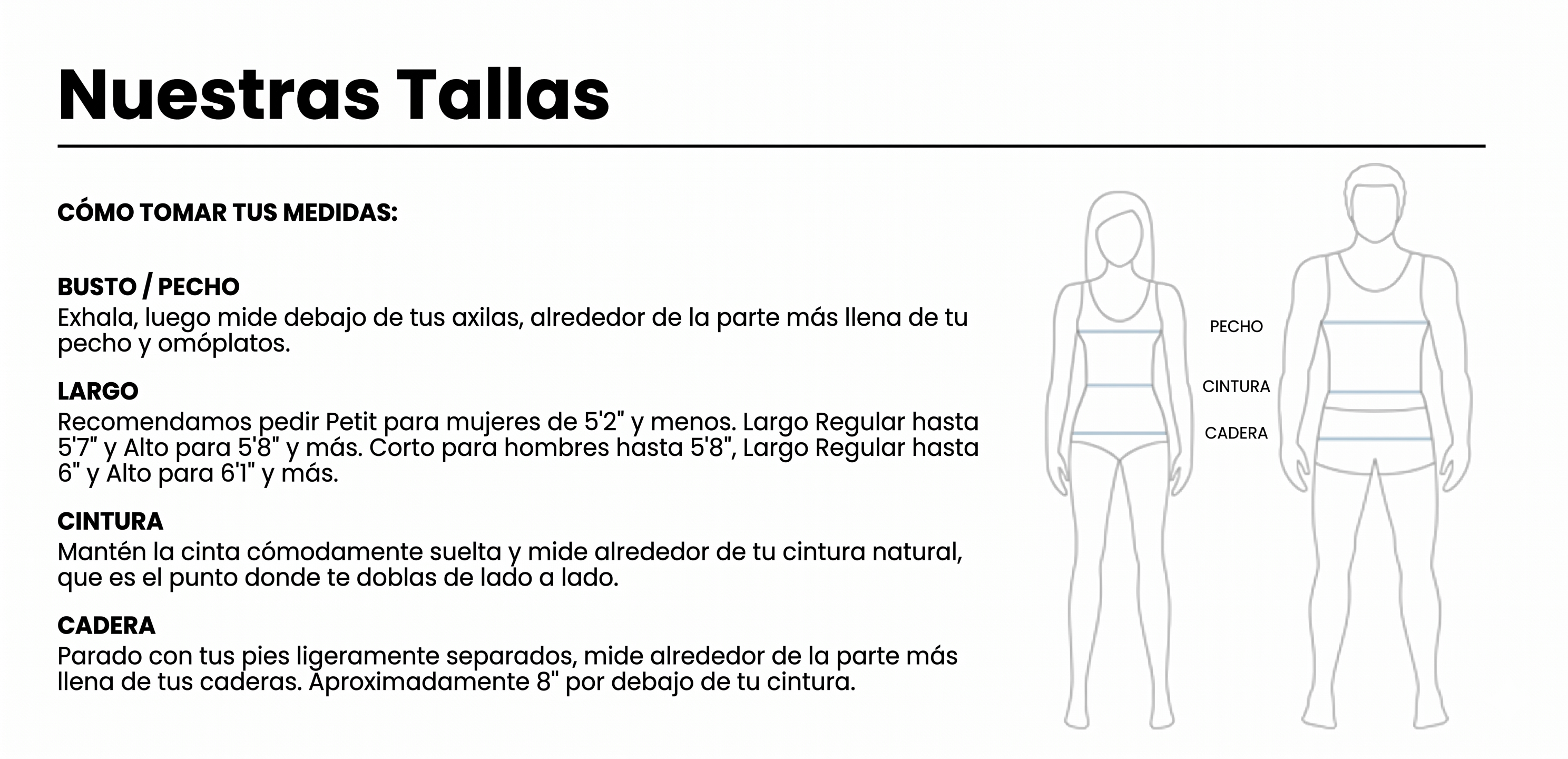 Guía de tallas Wink
